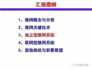 分布式能源智能微网技术与发展报告