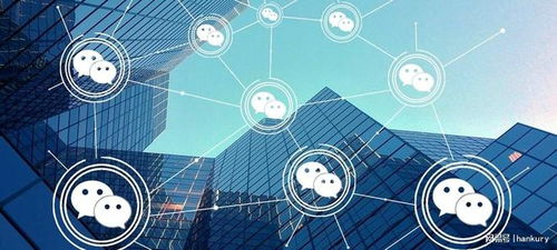 技术创新驱动未来 永阳网络如何让小程序成为企业增长新引擎